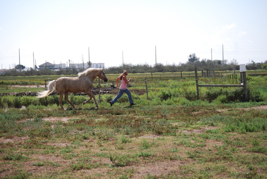 Young woman running with a horse