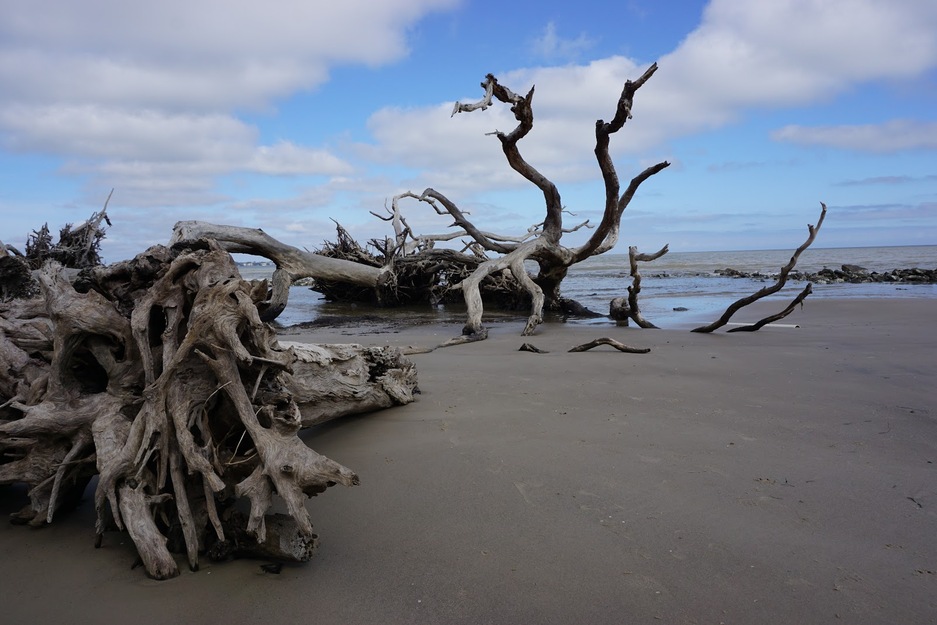 Clouds over Driftwood Beach