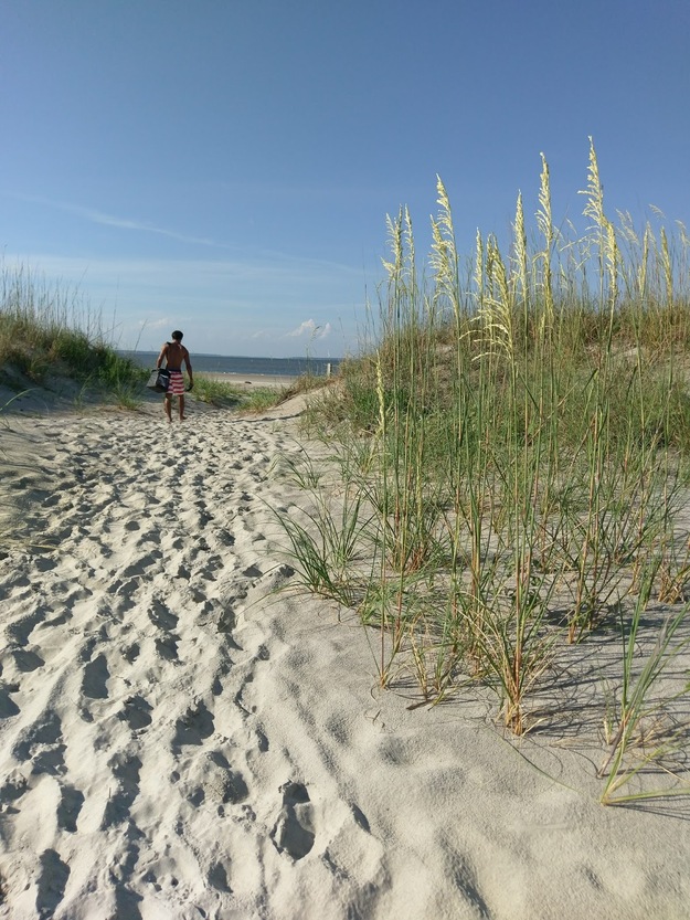 Grassy area near North Beach