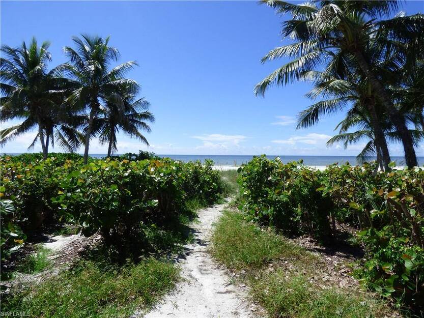 Palms on the grassy shore