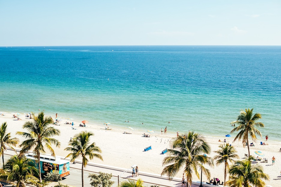 Beach palms