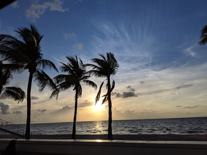 Palms and sunset on the beach
