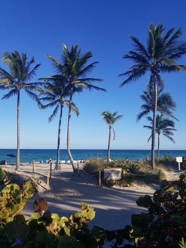 Hollywood North Beach Park