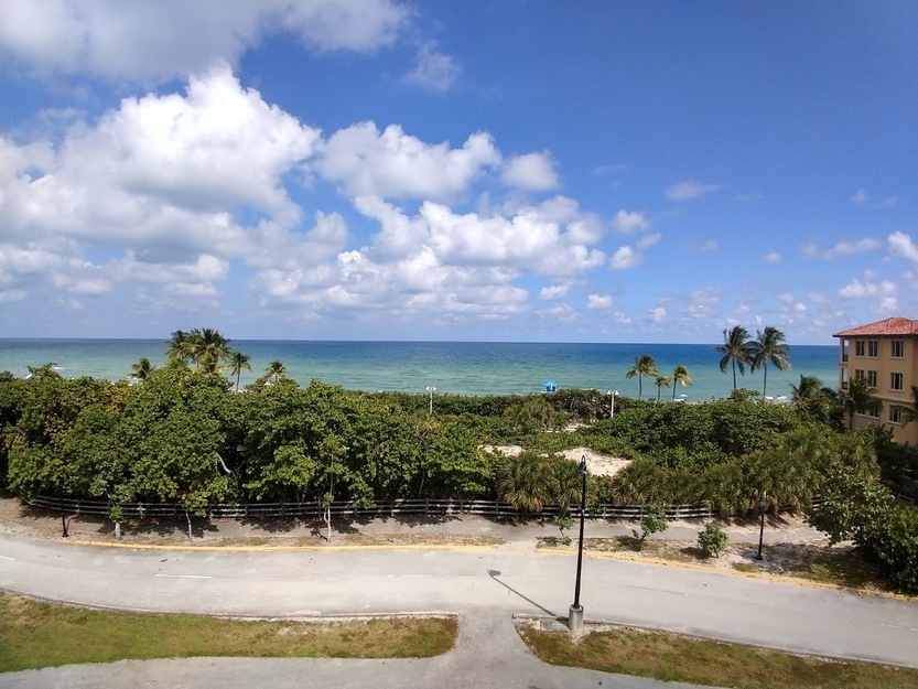 Grassy area on the seashore
