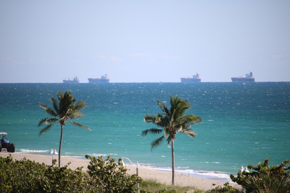 Ships in the sea and palms on the beach