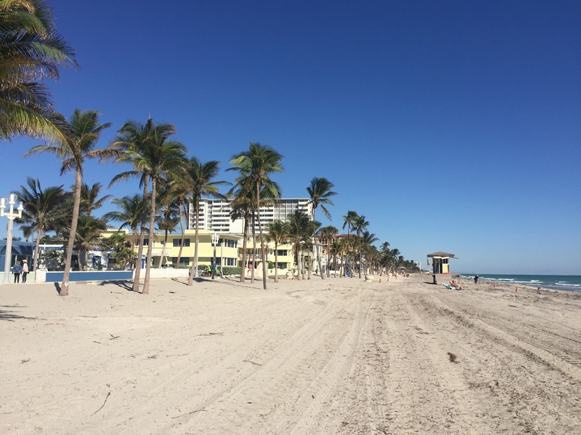Palms and hotel on the beach
