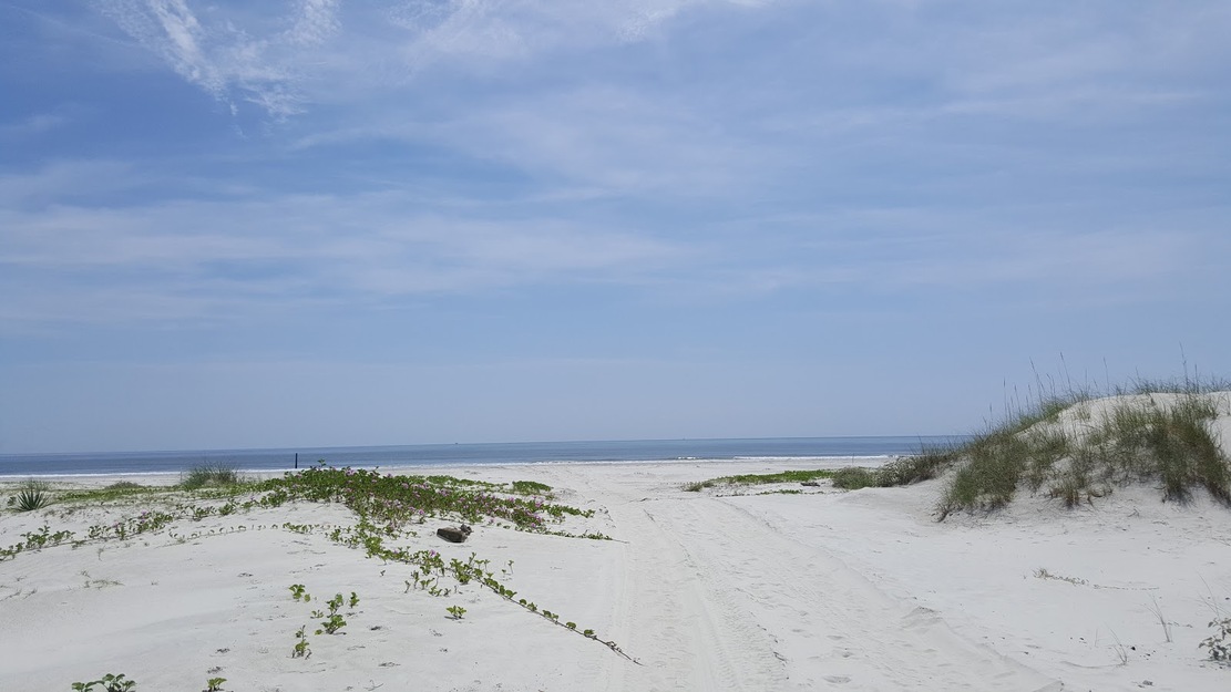 Seashore