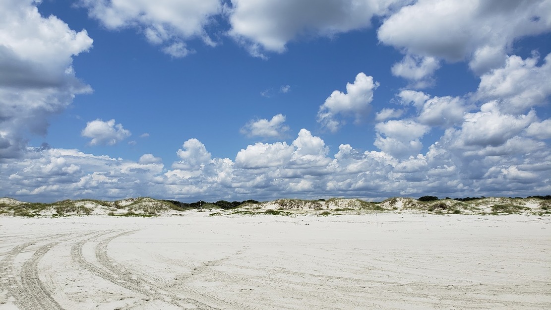 Dungeness Beach