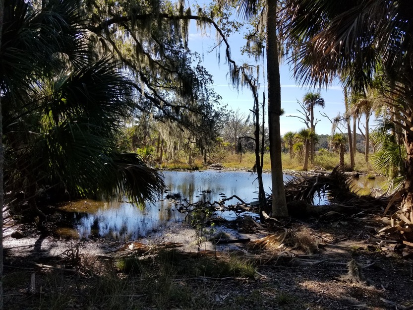 A lake in the wood