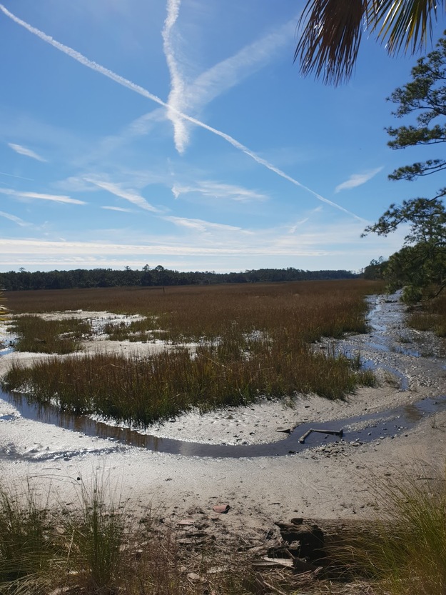 Ossabaw Island Beach