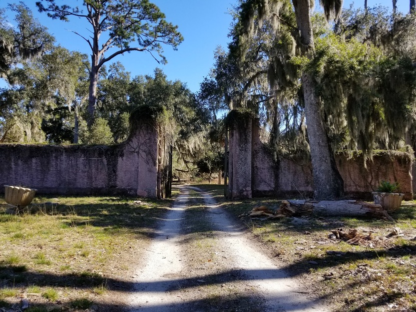 A sandy road leading to the wood