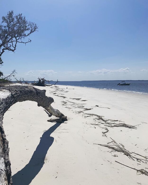 Ossabaw Island seashore