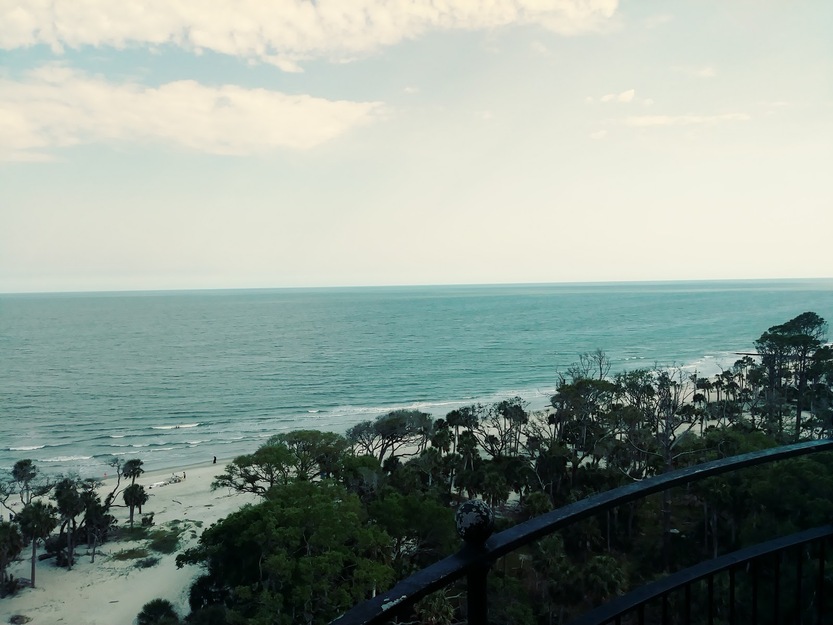 Trees on the beach