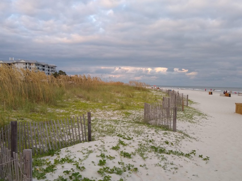 Grassy area and fences on the beach