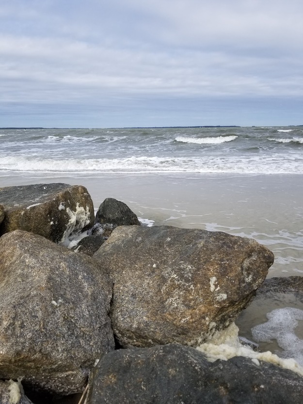 Rocks on the beach