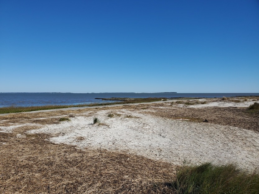 Seashore