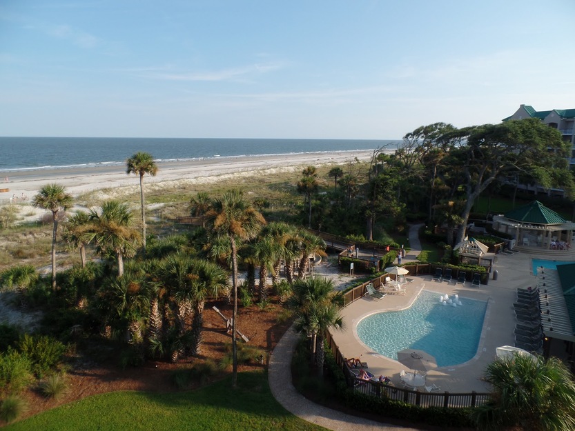 Swimming pool and palms near the beach