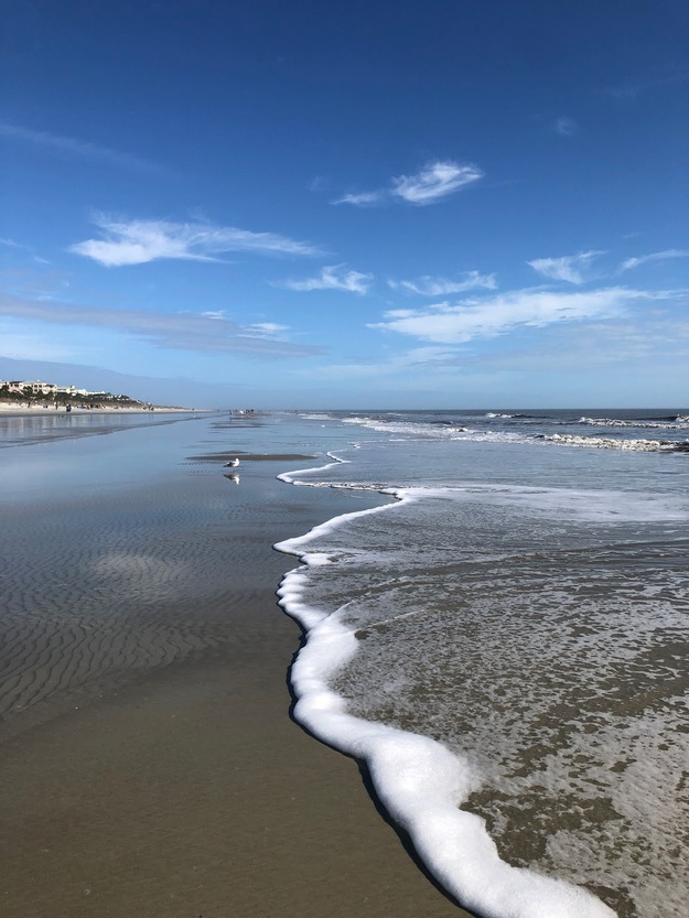 Seashore