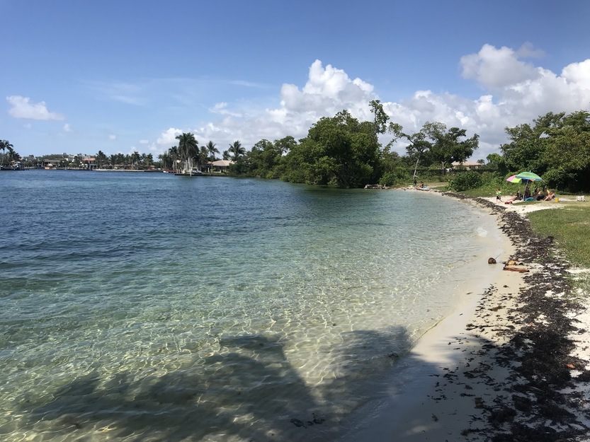 Clear water and trees on the beach