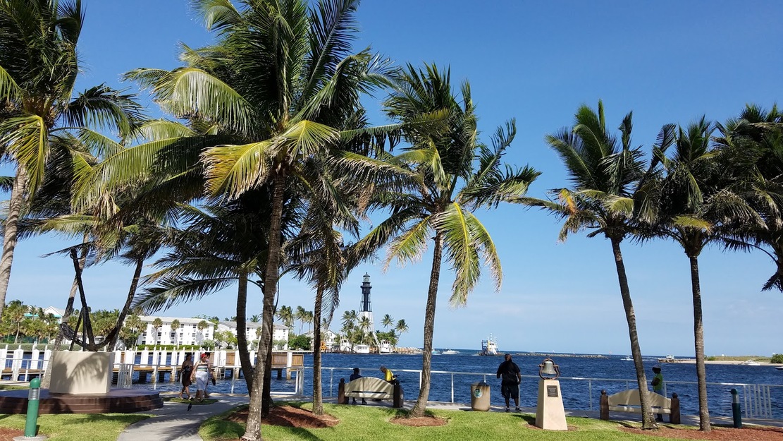 Palms on Hillsboro Beach
