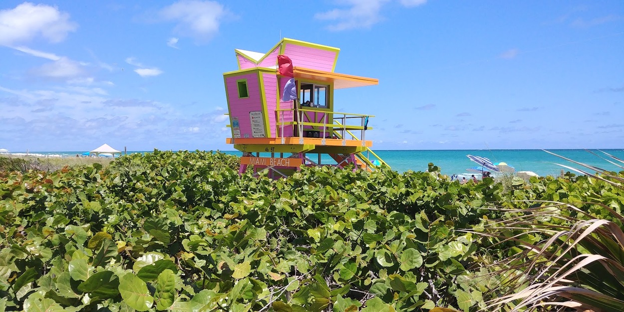 Pink lifeguard station on a grassy seashore