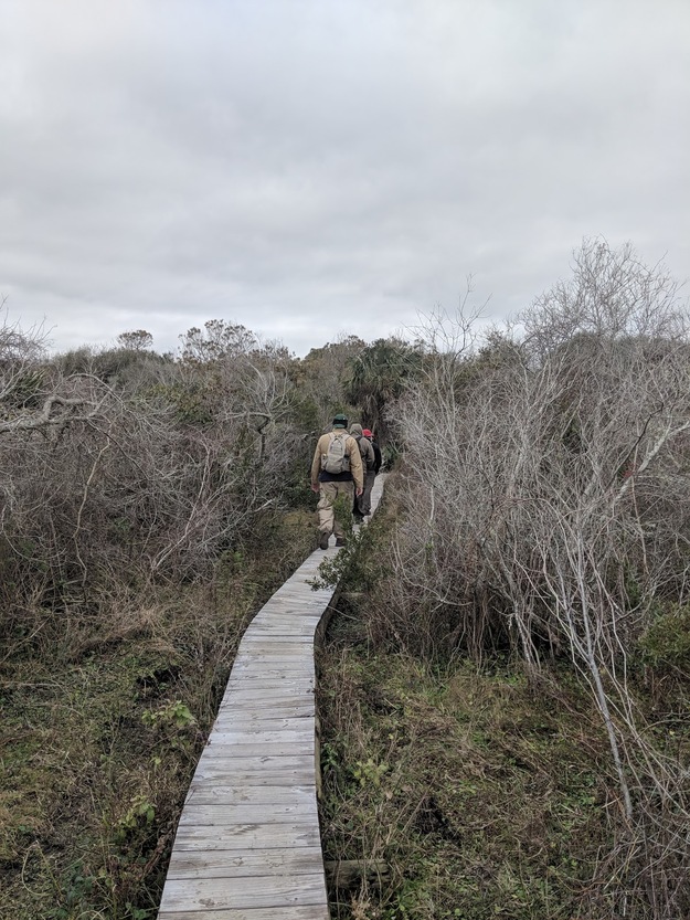 Wooden path in the wood