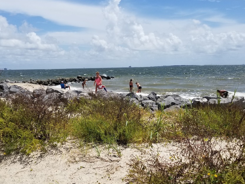 People exploring Dauphin Island East End Beach