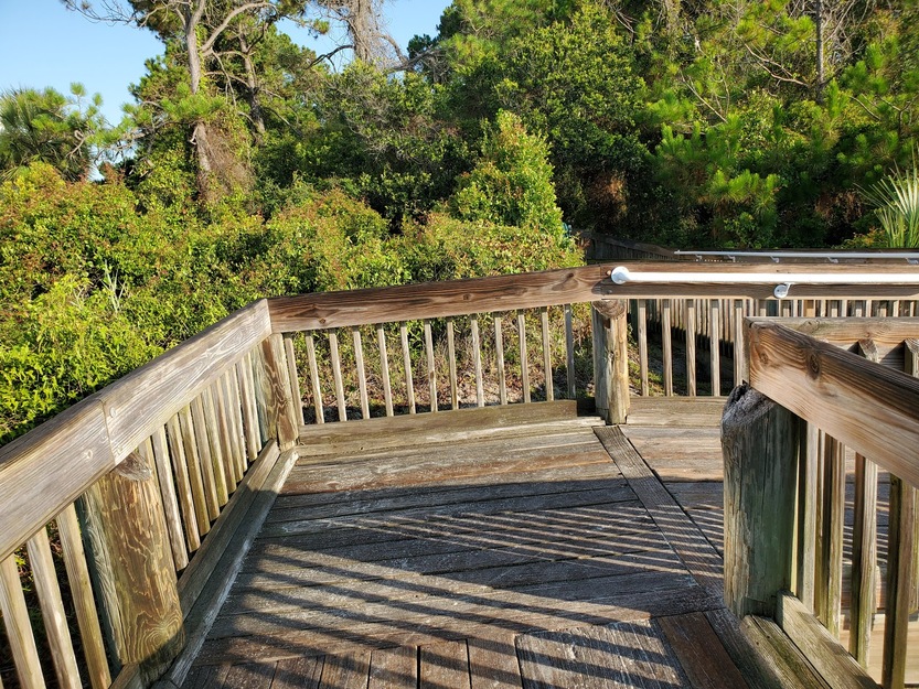 Wooden boardwalk in Folly Field Beach Park