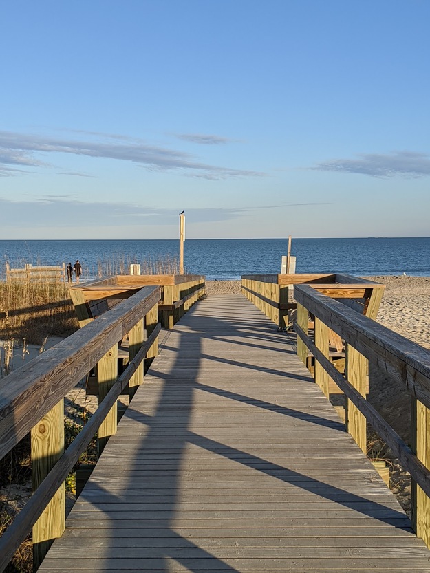 Wooden boardwalk