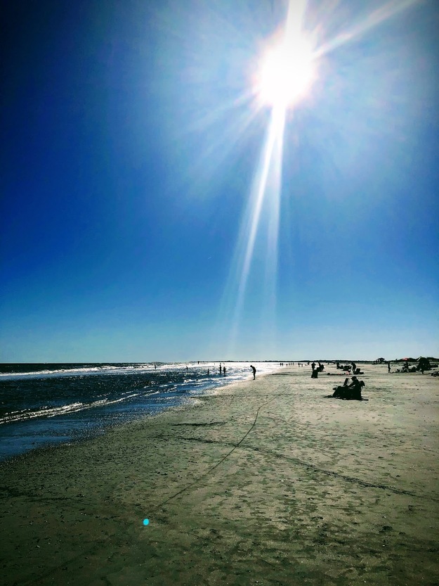 Folly Beach County Park