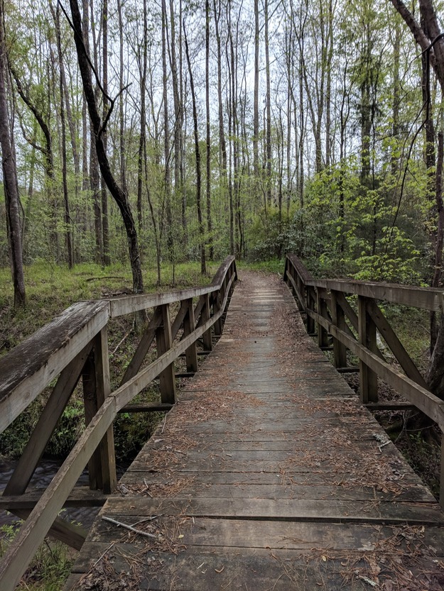 Wooden boardwalk in a park
