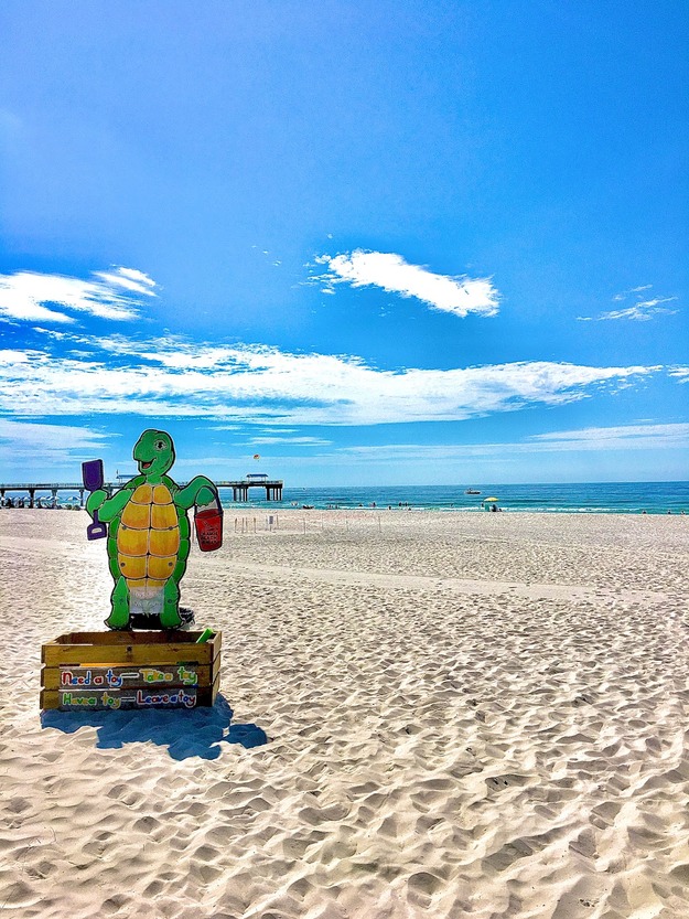Turtle on the beach