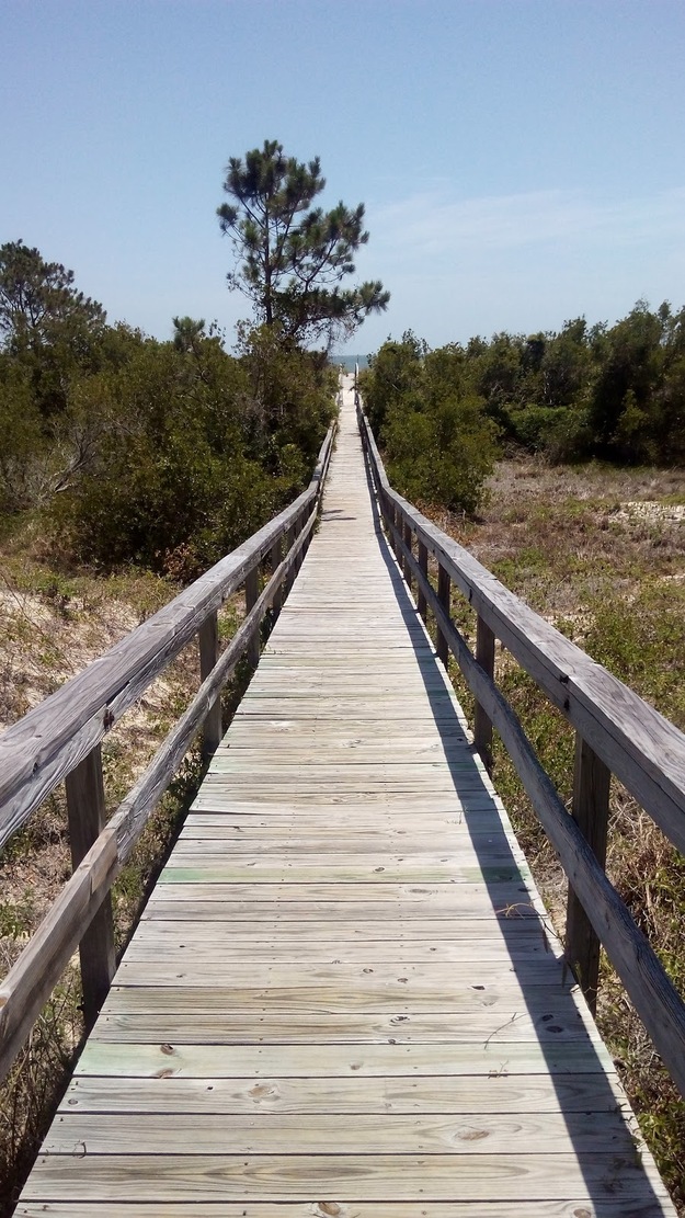 Wooden boardwalk