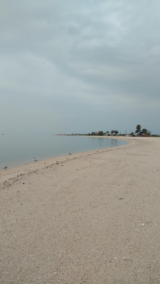 Magnolia Beach