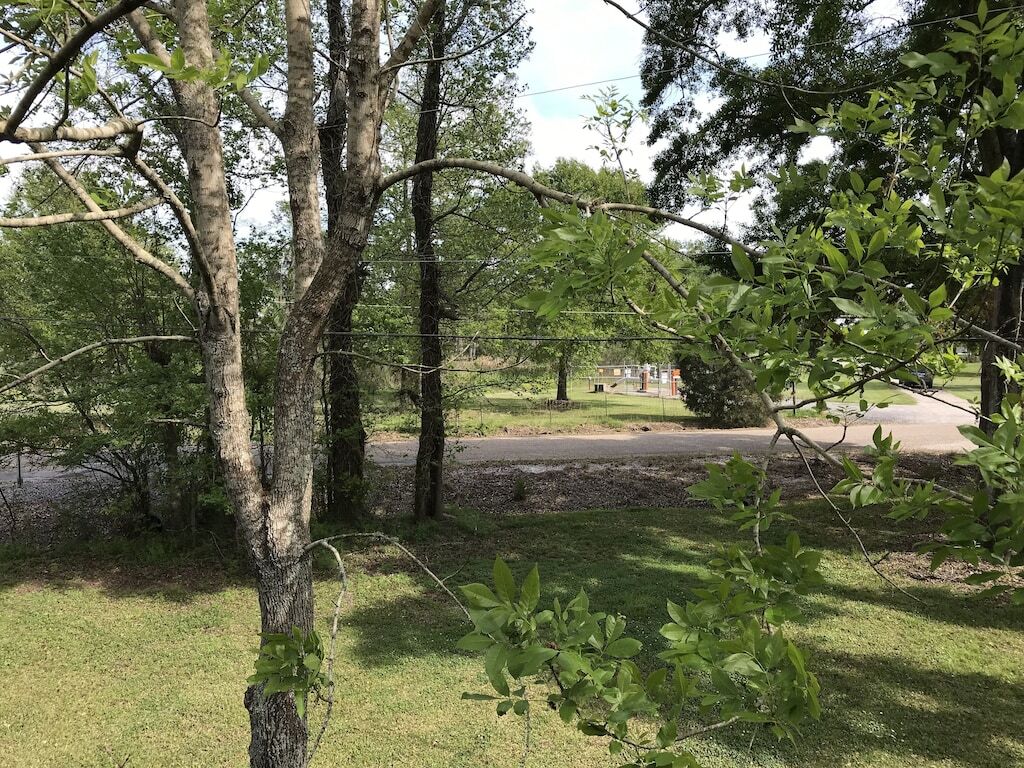 La Maison du Bayou - photo