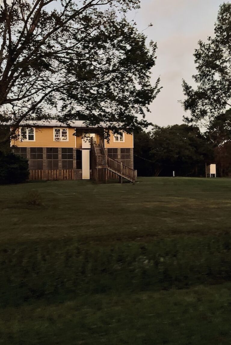 Hidden Treehouse in Cypremort Point photo