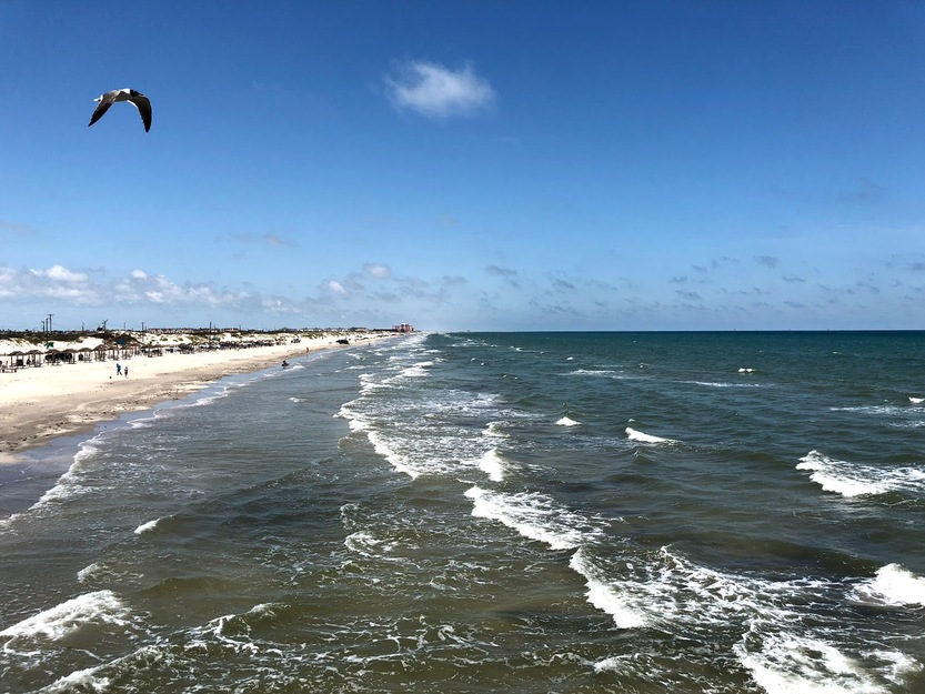 Sea waves