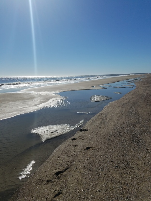 Savannah River Beach