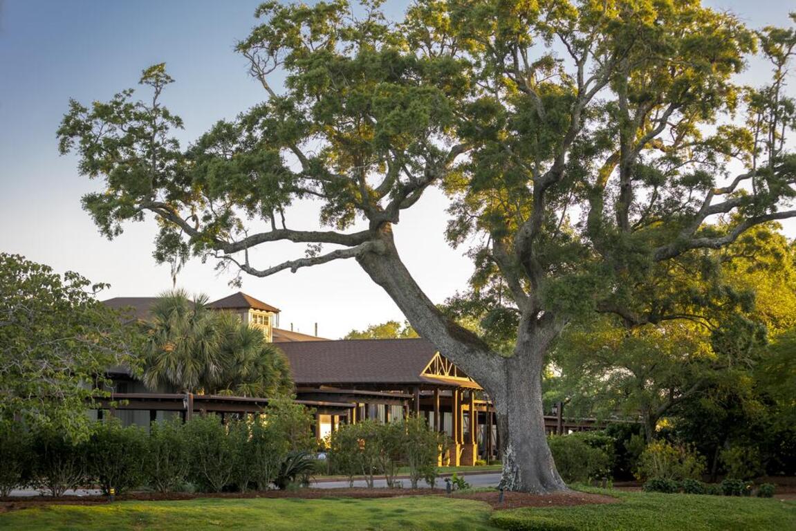 The Grand Hotel Golf Resort & Spa, Autograph Collection photo