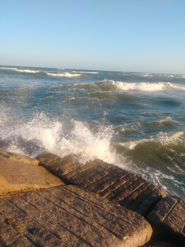 Waves