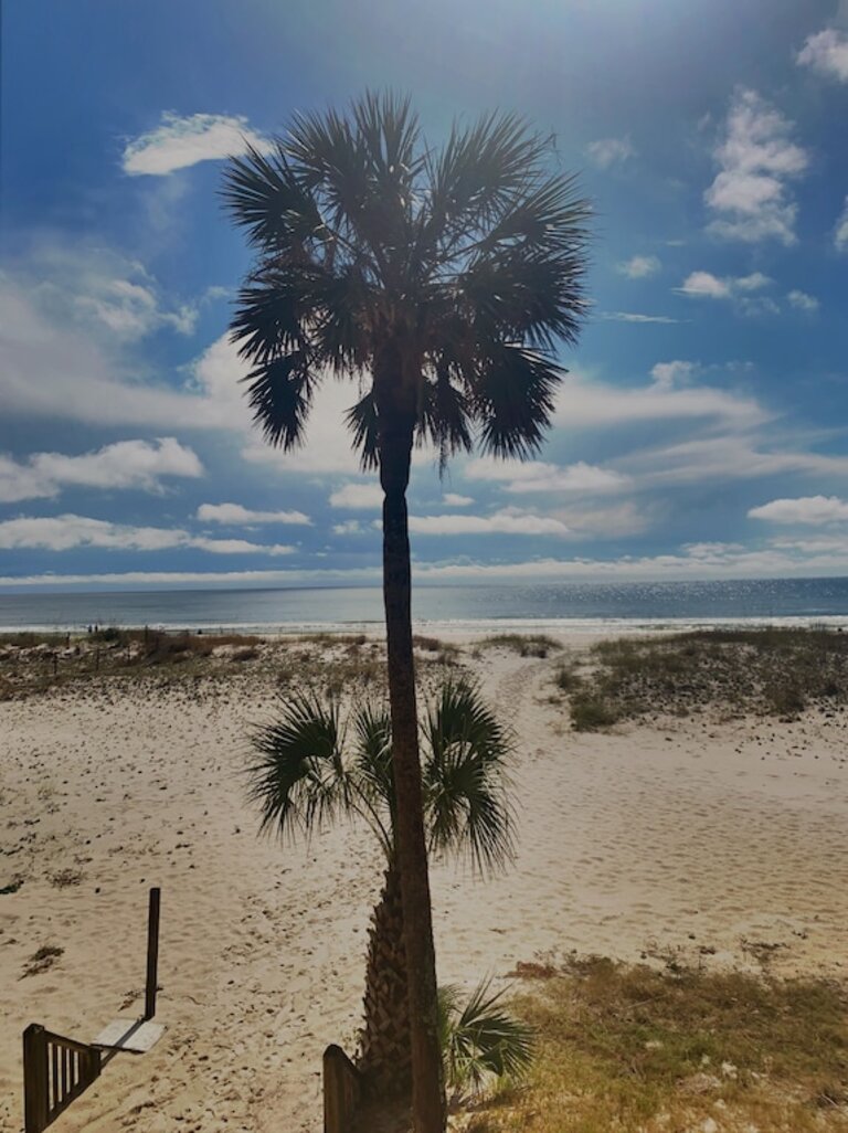 Beach Front Condo with great view convenient location!! Professionally cleaned. photo