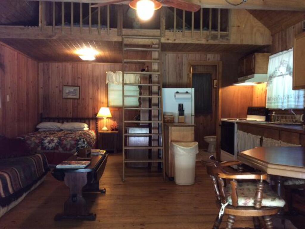 Berry Creek Cabins photo