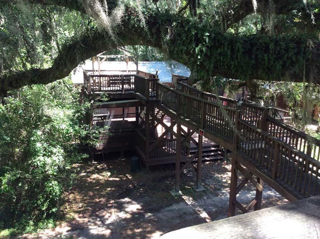 Berry Creek Cabins photo