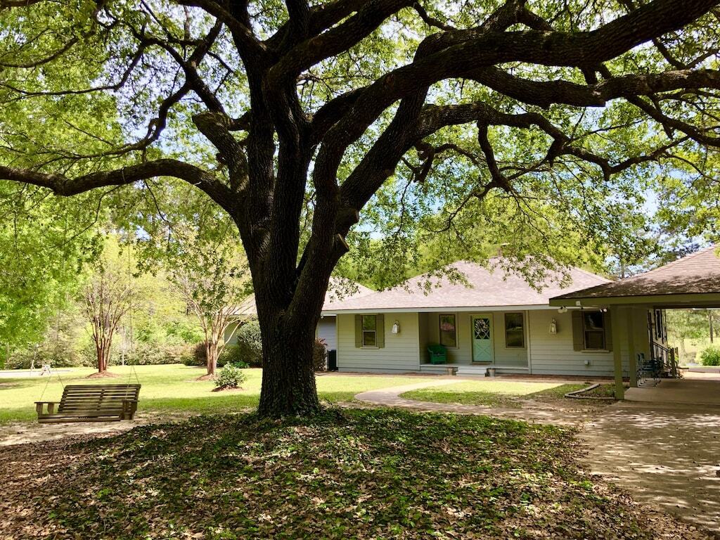 Family friendly home on 20 acres with small beach on 4 acre pond. photo