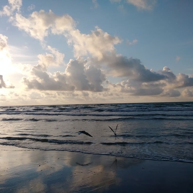 Sea