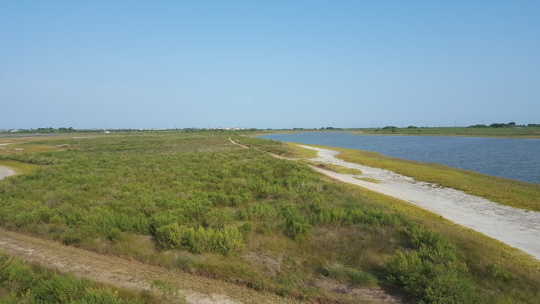 Galveston Island State Park Beach