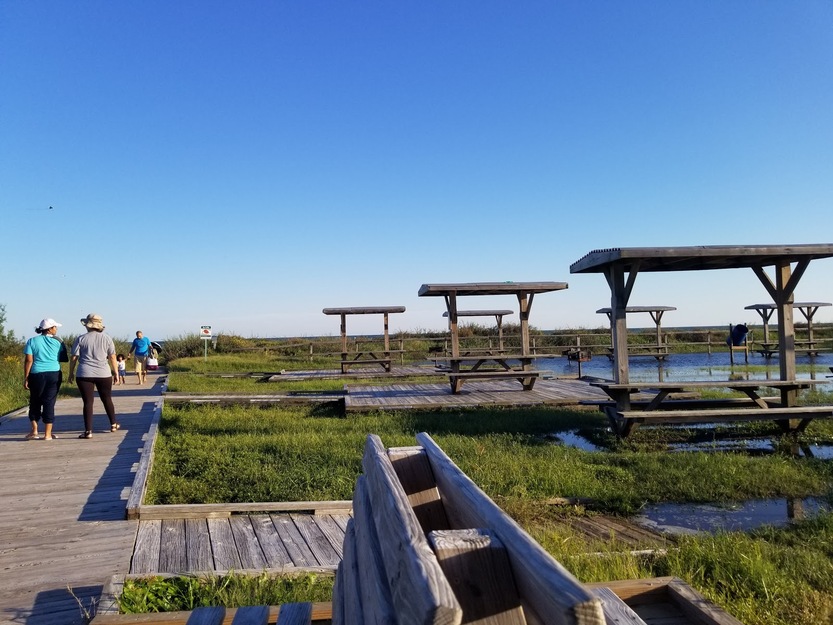 Picnic area