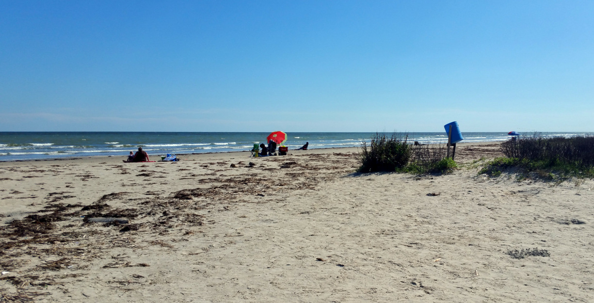 Galveston Island State Park Beach