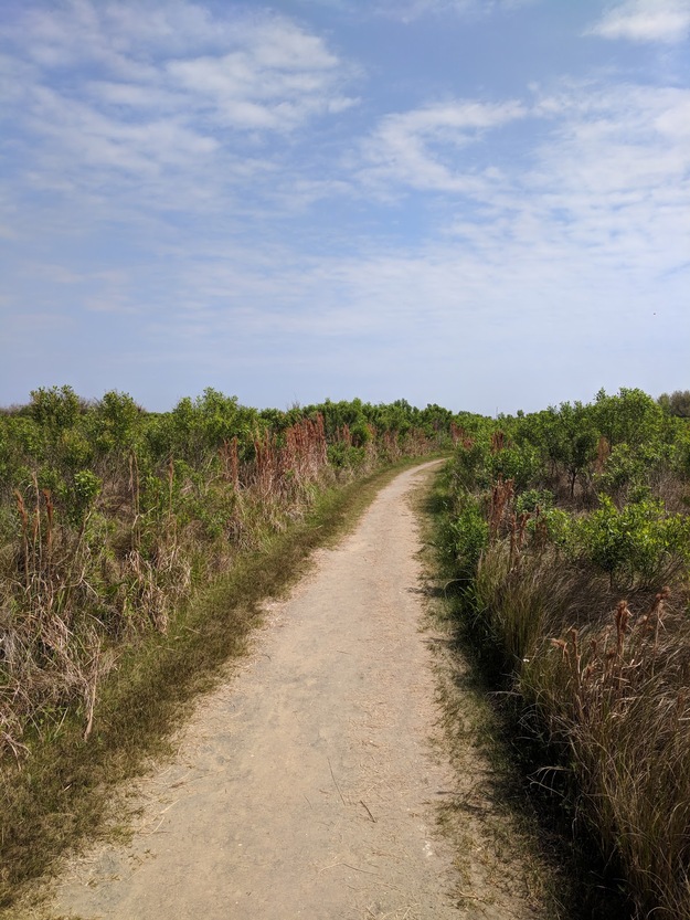 Path
