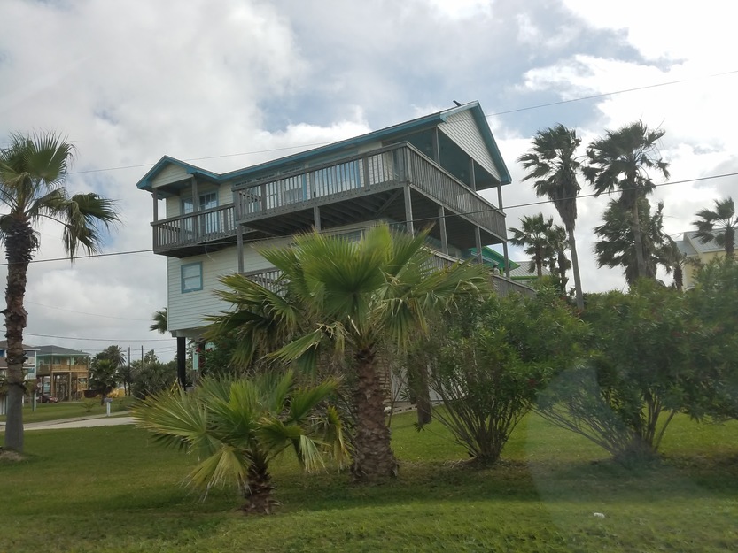 House surrounded by palms